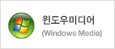������̵��(Windows Media)